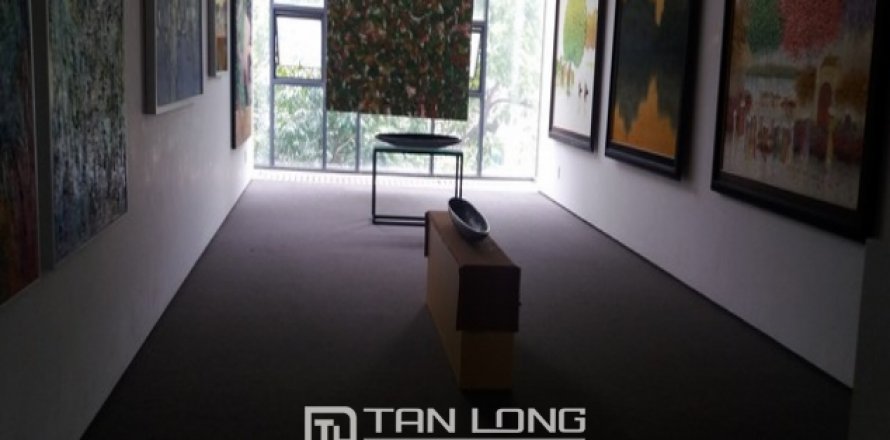 Studio House in Hoan Kiem, Ha Noi, No. 4584