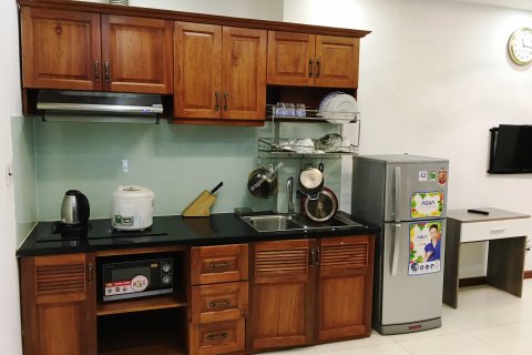 Studio Apartment in Tan Binh, Ho Chi Minh, No. 14845
