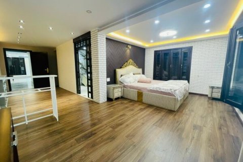 421.2m2 Villa in District 7, Ho Chi Minh, No. 9268 7