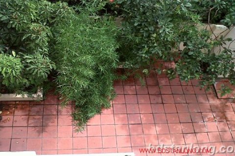 Вилла с 5 спальнями в Тэйхо, Ханой ,  № 8790 8