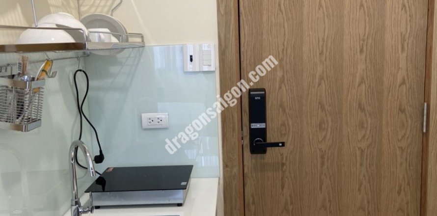 Studio Apartment in District 1, Ho Chi Minh,  No. 14893