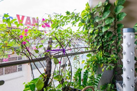 2 bedrooms Apartment in District 4, Ho Chi Minh,  No. 21548 13