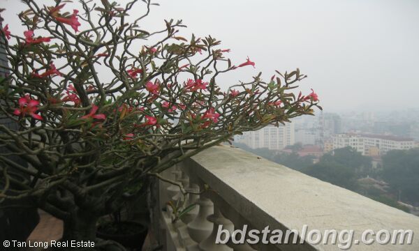 3 bedrooms Apartment in Hoan Kiem, Ha Noi, Vietnam No. 8441