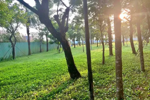 3 bedrooms House in Thu Duc, Ho Chi Minh, No. 27480 7