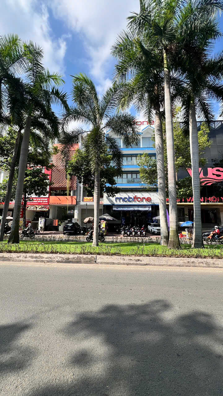 200m2 Townhouse in District 7, Ho Chi Minh, Vietnam No. 29508