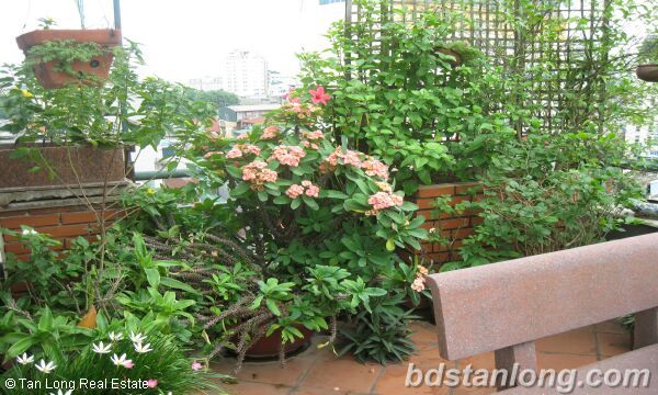 1 bedroom Apartment in Hoan Kiem, Ha Noi, Vietnam No. 8302