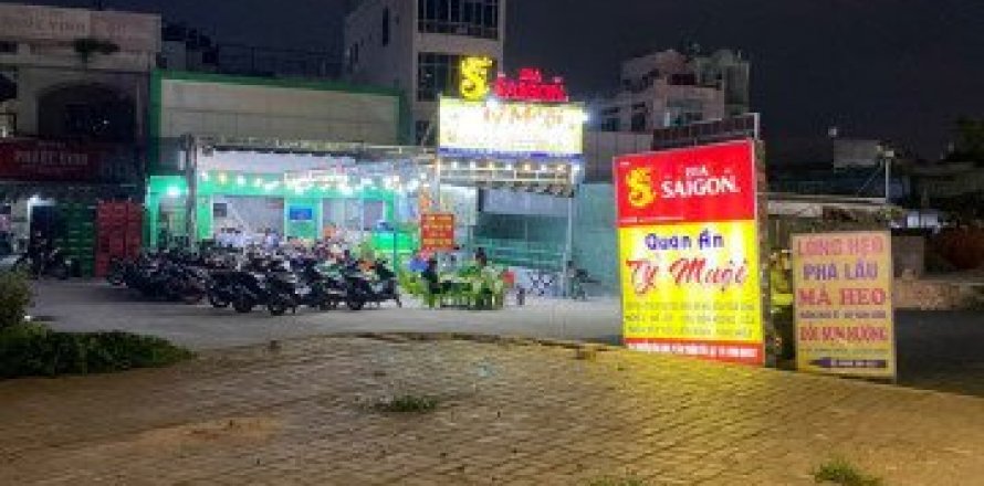 Studio House in District 7, Ho Chi Minh, No. 9023