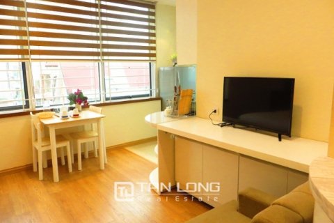Studio Apartment in Ba Dinh, Ha Noi,  No. 4590