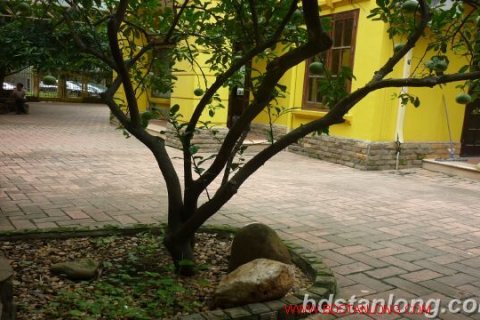 647.5m2 Villa in Cau Giay, Ha Noi, No. 8381 8
