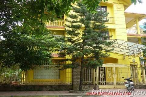 Studio Villa in Cau Giay, Ha Noi, No. 8381