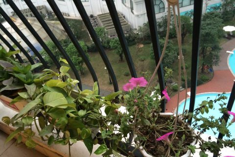 2 bedrooms Apartment in Thanh Xuan, Ha Noi, No. 5331 12