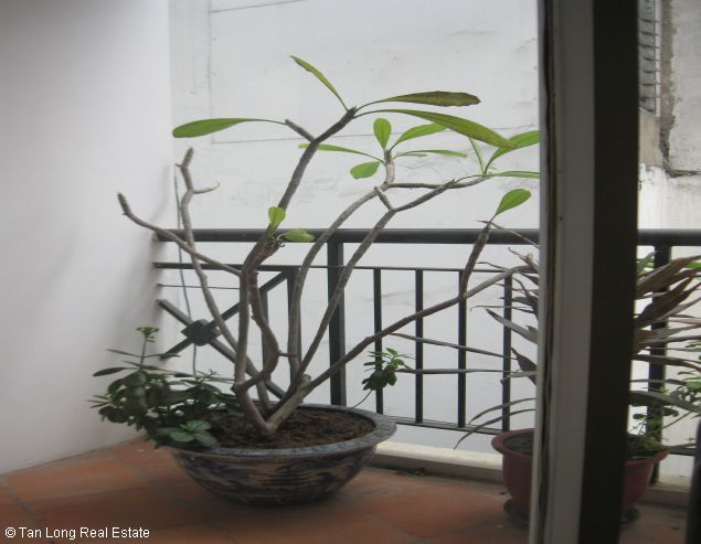 3 bedrooms Apartment in Ba Dinh, Ha Noi, Vietnam No. 7498