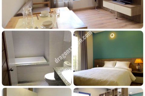30m2 Apartment in Binh Thanh, Ho Chi Minh, No. 15082 3