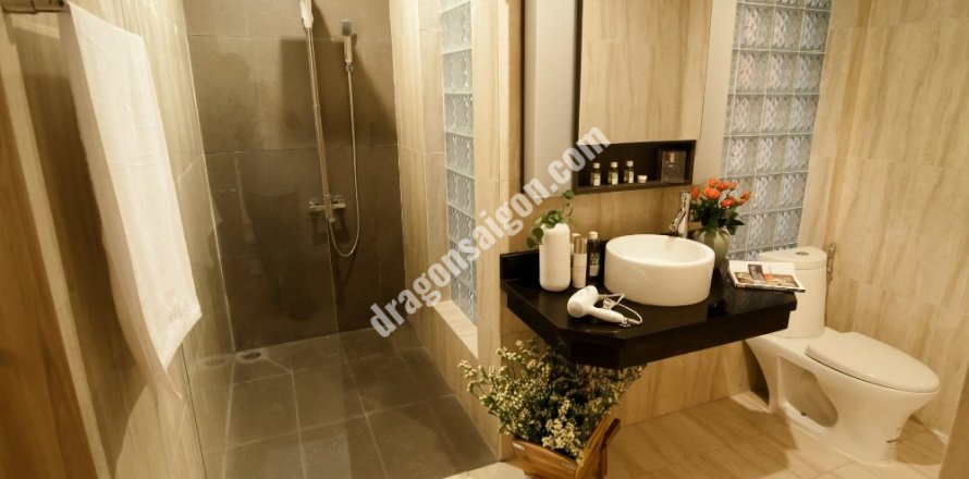 Studio Apartment in Tan Binh, Ho Chi Minh, No. 15492