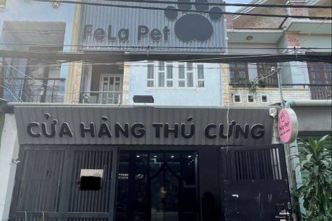 Studio Townhouse in District 7, Ho Chi Minh,  No. 20451