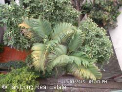 5 bedrooms House in Cau Giay, Ha Noi, Vietnam No. 1941