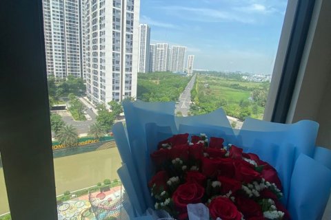 1 bedroom Apartment in Thu Duc, Ho Chi Minh, No. 20971 3