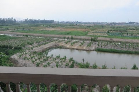 5 bedrooms Villa in Tay Ho, Ha Noi,  No. 5722 13