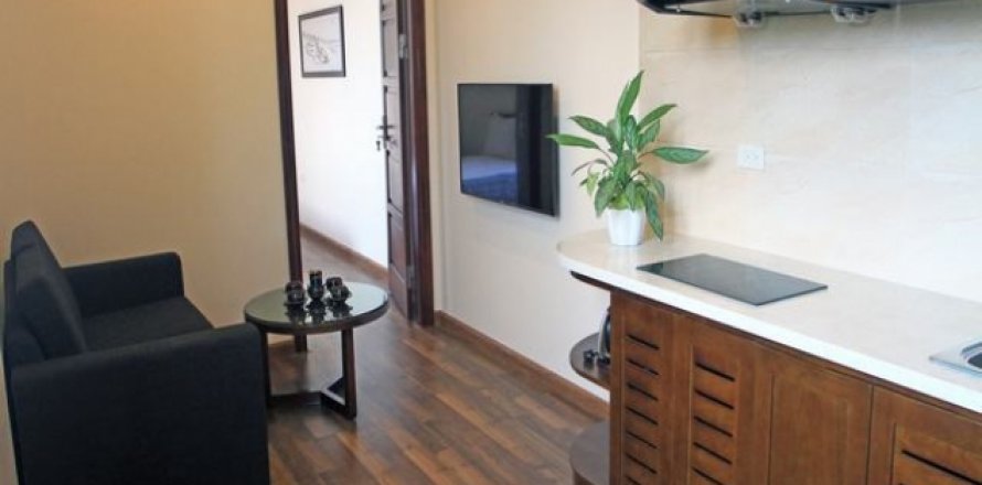 1 bedroom Apartment in Hai Ba Trung, Ha Noi, No. 4224