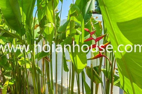 Дом с 2 спальнями в Hoi An, № 15959 14