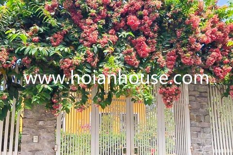 Дом с 2 спальнями в Hoi An,  № 15956 5