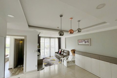 2 bedrooms Apartment in District 7, Ho Chi Minh, No. 29966 2