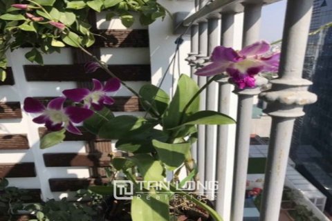 2 bedrooms Apartment in Dong Da, Ha Noi, No. 3580 6