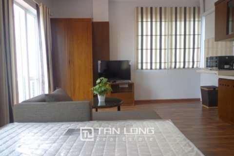 1 bedroom Apartment in Hai Ba Trung, Ha Noi, No. 9493 5