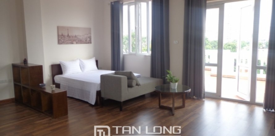1 bedroom Apartment in Hai Ba Trung, Ha Noi, No. 9493