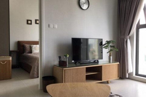 1 bedroom Apartment in Thu Duc, Ho Chi Minh, No. 27191