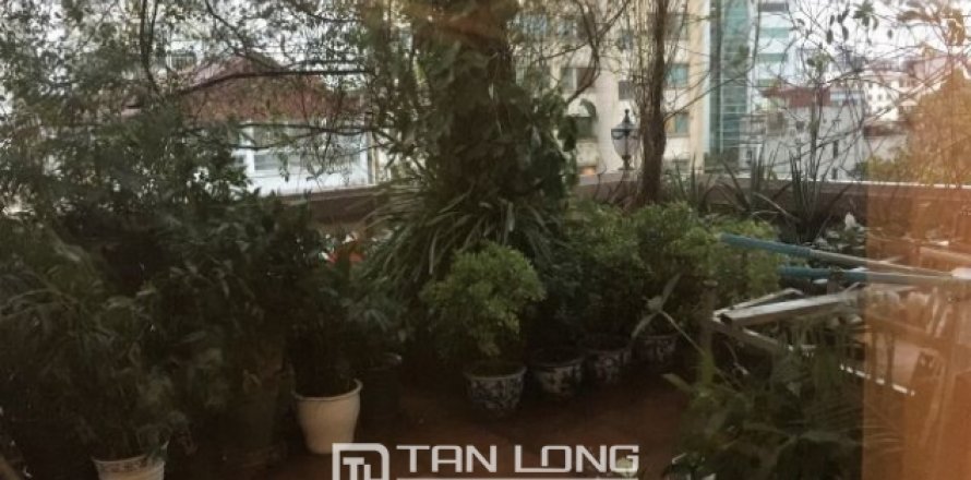 2 bedrooms Apartment in Hai Ba Trung, Ha Noi, No. 3718