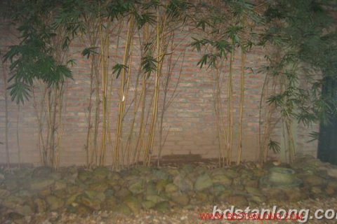 4 bedrooms House in Tay Ho, Ha Noi, No. 8748 3
