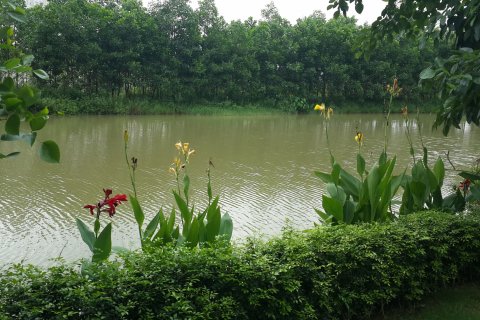 4 bedrooms Villa in Long Bien, Ha Noi, No. 7214 18