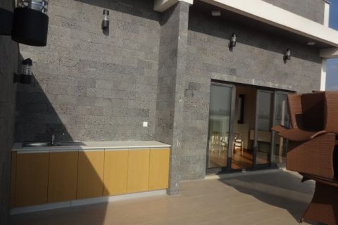 3 bedrooms Penthouse in Tay Ho, Ha Noi, No. 6747 23