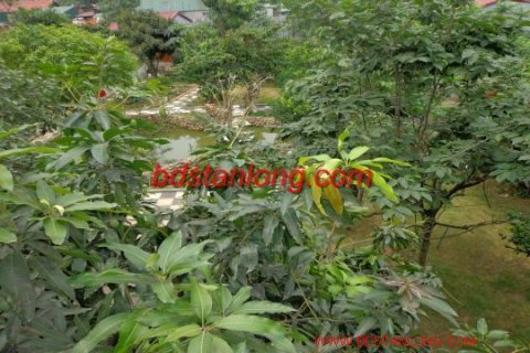 8 bedrooms House in Tay Ho, Ha Noi, No. 8429 20