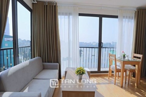 1 bedroom Apartment in Ba Dinh, Ha Noi, No. 3167