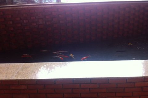 3 bedrooms Apartment in Nam Tu Liem, Ha Noi,  No. 6177 19