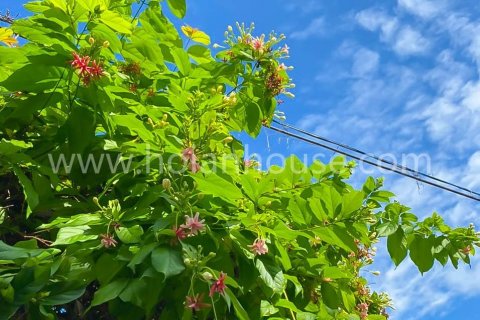 Вилла с 3 спальнями в Hoi An, № 15888 10