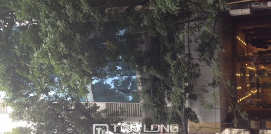 Studio House in Hai Ba Trung, Ha Noi,  No. 1851