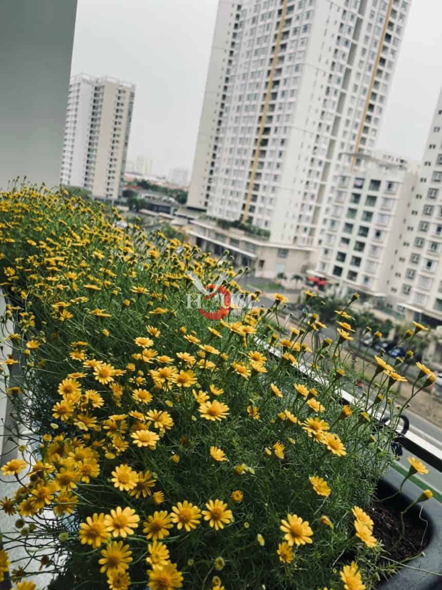 2 bedrooms Apartment in District 7, Ho Chi Minh, Vietnam No. 30144