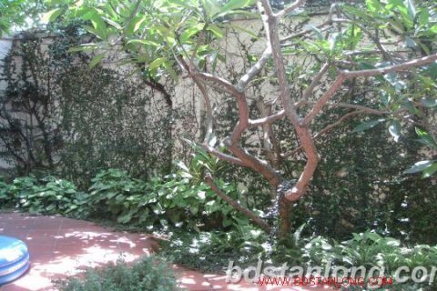 4 bedrooms Villa in Tay Ho, Ha Noi, No. 7964 2