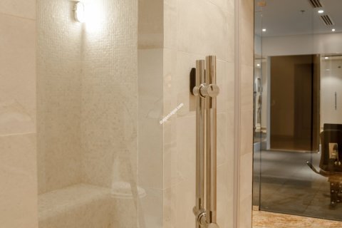 2 bedrooms Apartment in Phu Nhuan, Ho Chi Minh,  No. 14788 12
