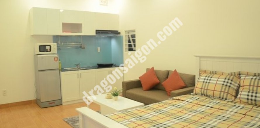 Studio Apartment in District 1, Ho Chi Minh, No. 15295