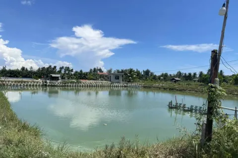 Земельный участок 386м2 в Cam Ha, Cam Xuyen,  № 29460 8