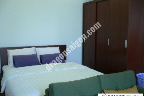 33m2 Apartment in District 1, Ho Chi Minh, No. 15350 2