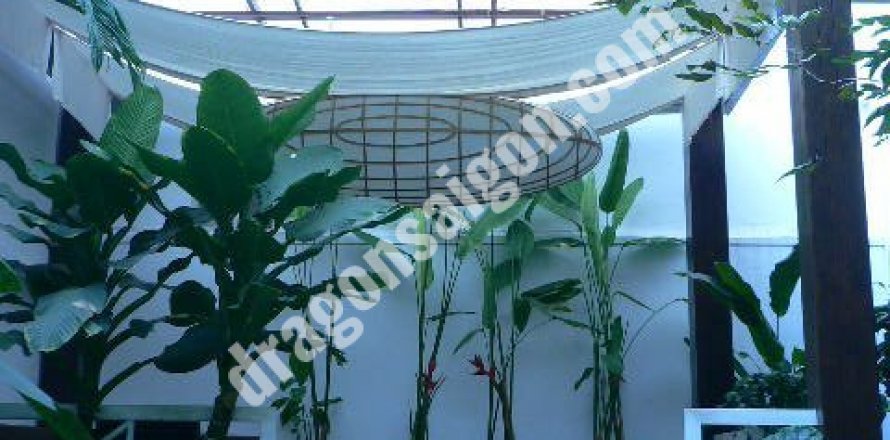 Studio Apartment in District 1, Ho Chi Minh, No. 15354