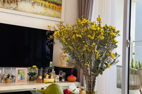 3 bedrooms Apartment in Thu Duc, Ho Chi Minh, No. 12179 6