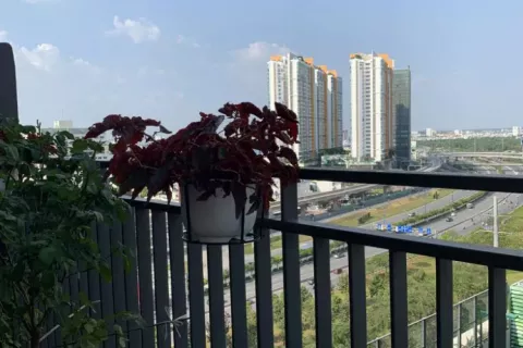 3 bedrooms Apartment in Thu Duc, Ho Chi Minh, No. 11633 10