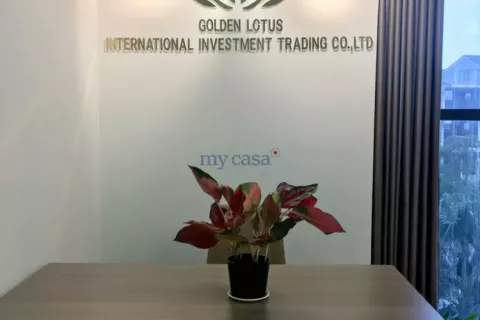 1 bedroom Apartment in Thu Duc, Ho Chi Minh, No. 11297 9