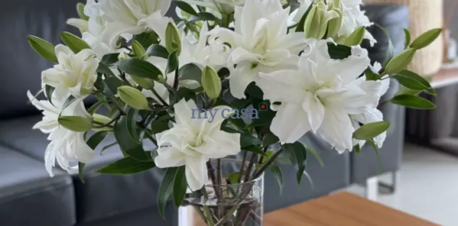 3 bedrooms Apartment in Thu Duc, Ho Chi Minh, No. 11257